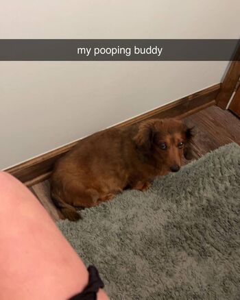 Alyssaholmes page leaked private photo uncensored HD quality