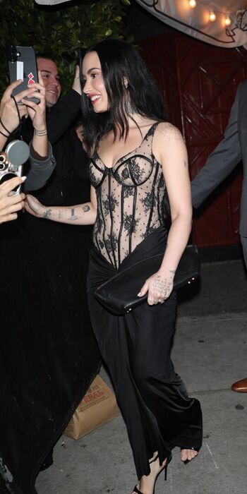 Demi lovato page leaked private photo uncensored HD quality