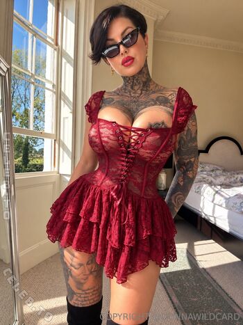 Donna wild cat leaked private photo uncensored HD quality