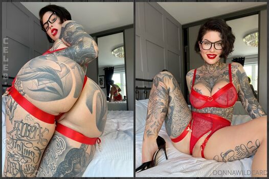 Donna wild cat leaked private photo uncensored HD quality