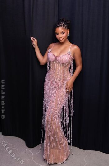 Halle bailey page leaked private photo uncensored HD quality