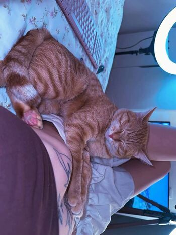 Merciabawden leaked private photo uncensored HD quality