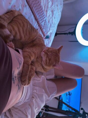 Merciabawden leaked private photo uncensored HD quality