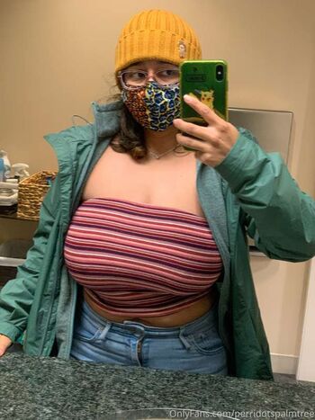 Perridotspalmtree  page leaked private photo uncensored HD quality