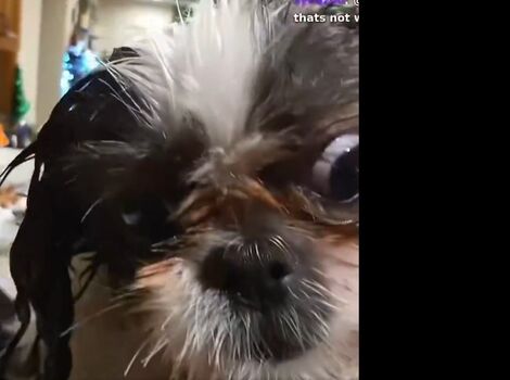 Sakura shymko page leaked private photo uncensored HD quality