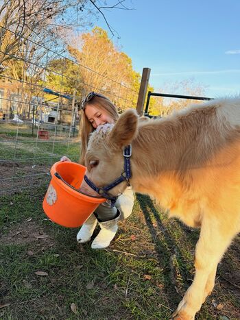 Sophia diamond  page leaked private photo uncensored HD quality