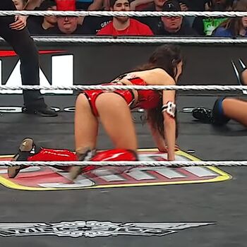 The bella twins page leaked private photo uncensored HD quality