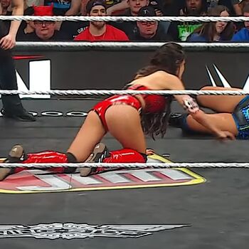 The bella twins page leaked private photo uncensored HD quality