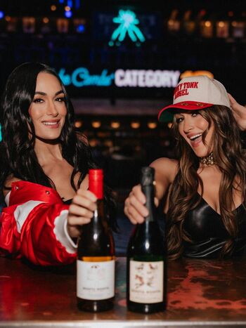 The bella twins page leaked private photo uncensored HD quality