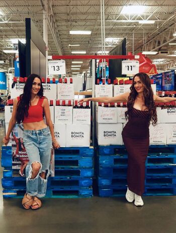 The bella twins leaked private photo uncensored HD quality