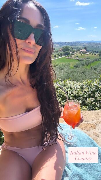 The bella twins leaked private photo uncensored HD quality